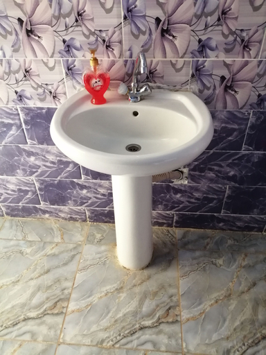 Bathroom 4, Bedouin village camp, Quaira