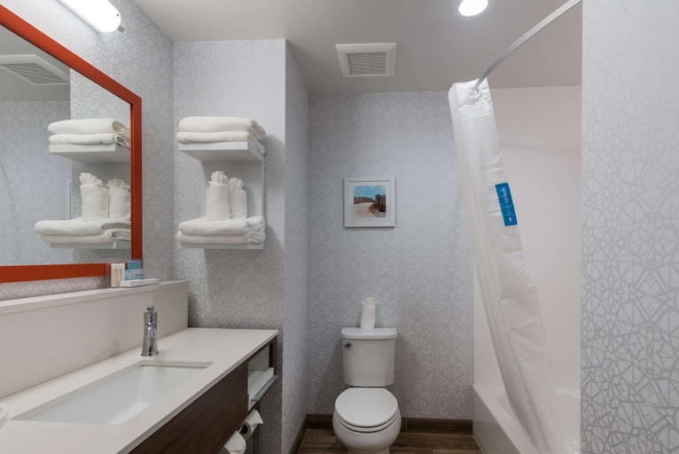 Bathroom 3, Hampton Inn Niles, Berrien