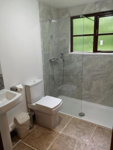 Bathroom 4, Goldcrest 4 Hot Tub, Carmarthenshire