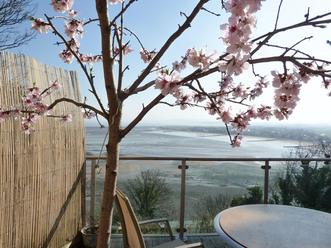 Others 4, Porthole Cottage, Somerset