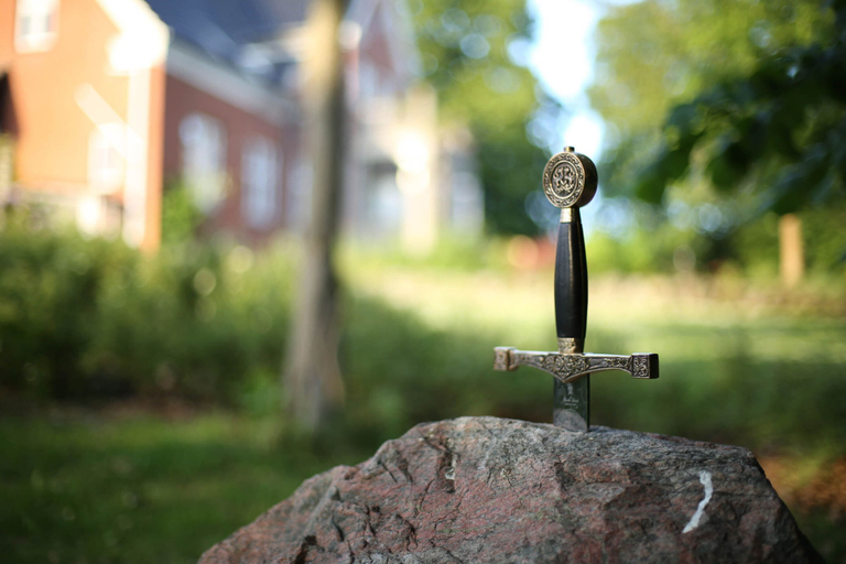 Others 5, AvalonBnB, Odense