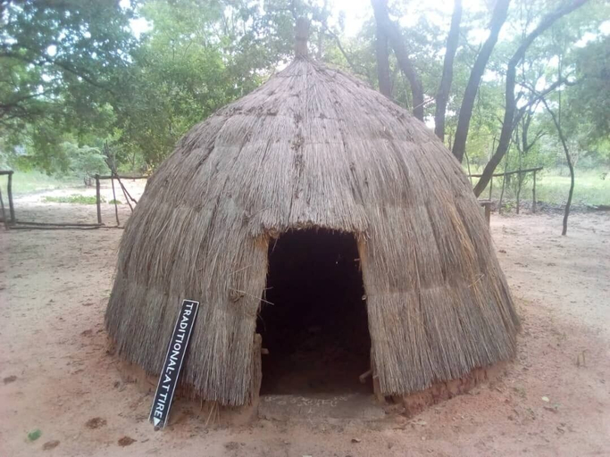 Others 5, Dumisa African Home, Hwange