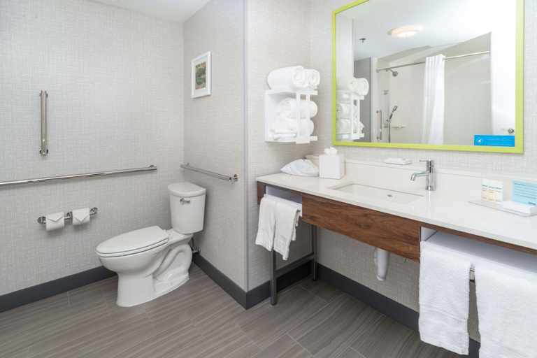 Bathroom 4, Hampton Inn & Suites Conway, Faulkner
