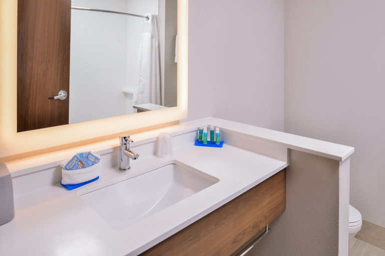 Bedroom 5, Holiday Inn Express & Suites SILOAM SPRINGS, Delaware