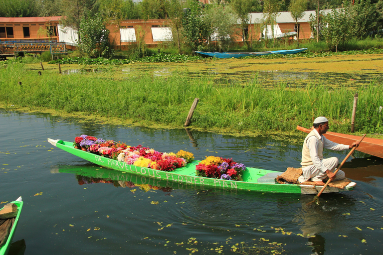 Others 5, Golden Crest Houseboats, Srinagar