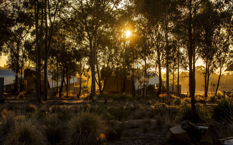 Others 5, Zoofari Lodge at Taronga Western Plains, Dubbo - Pt A