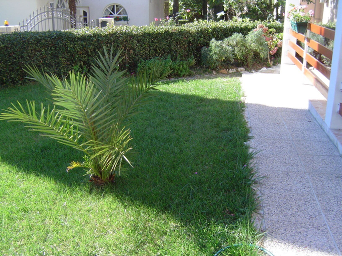 Others 4, Cozy apartment Ernesto, Rovinj