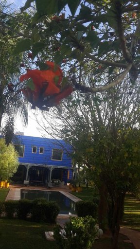 Exterior & Views, Heliconia Park, Marrakech