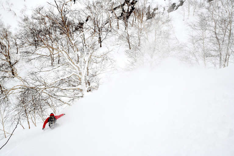 Others 3, Mush Rooms, Asahikawa