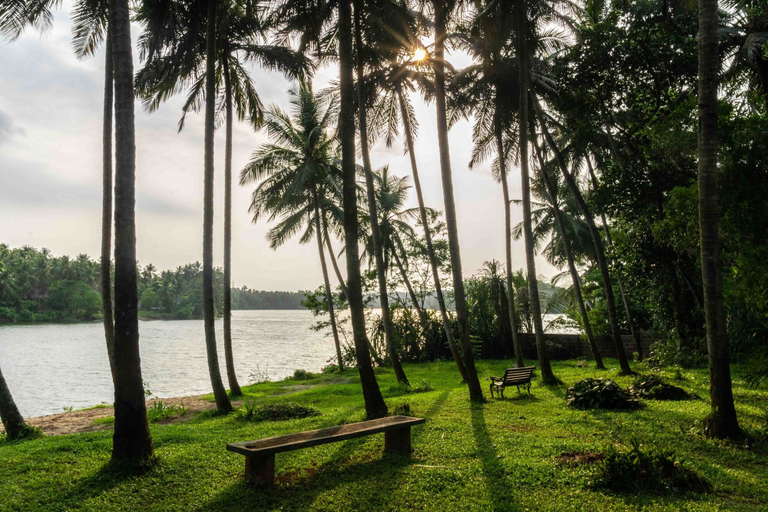Others 5, Toya Toya by Vista Rooms, Kozhikode