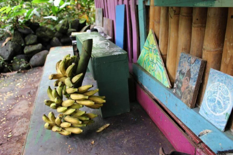 Food & Drinks 5, Cinderland EcoVillage - Hostel, Hawaii