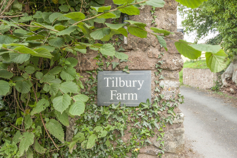 Others 4, Tilbury Cottage, Somerset