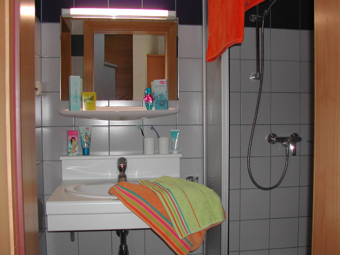 Bathroom, Ferienwohnung Planneralm, Liezen