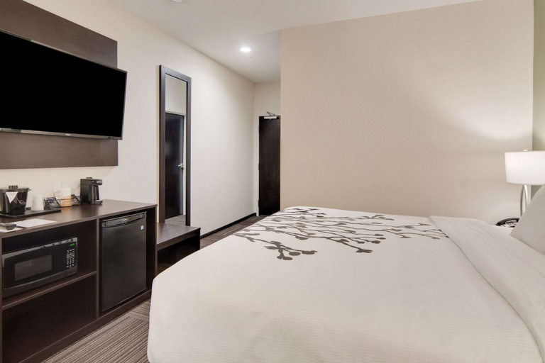 Bedroom 3, Sleep Inn Dallas Northwest - Irving, Dallas
