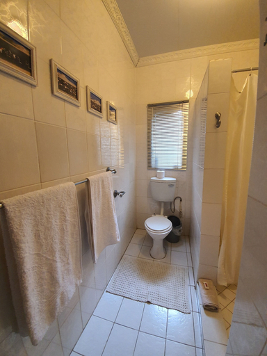 Bathroom 4, A Traveller's Palm, Mopani