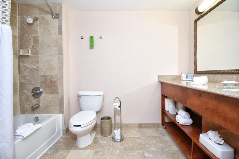Bathroom 4, Hampton Inn Tucson-Airport, Pima