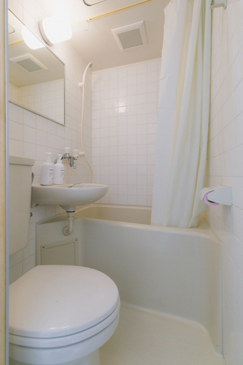 Bathroom 2, Akebono 5-C, Naha