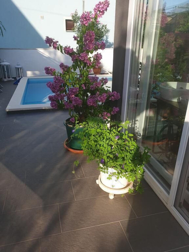 Others 5, Villa Suai, Sveti Filip i Jakov