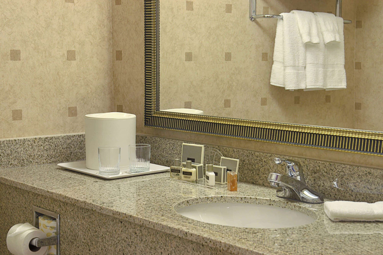 Bathroom 4, Wingate by Wyndham Warner Robins, Houston