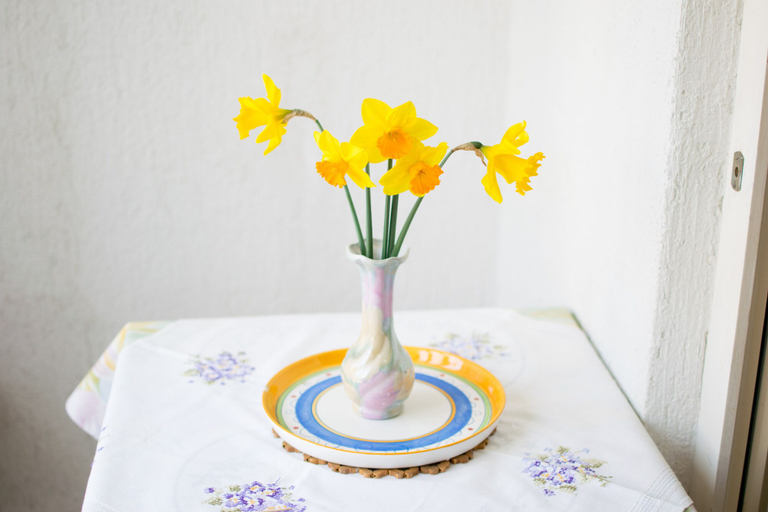 Others 5, Pleasant apartment Korenic in Rovinj, Rovinj
