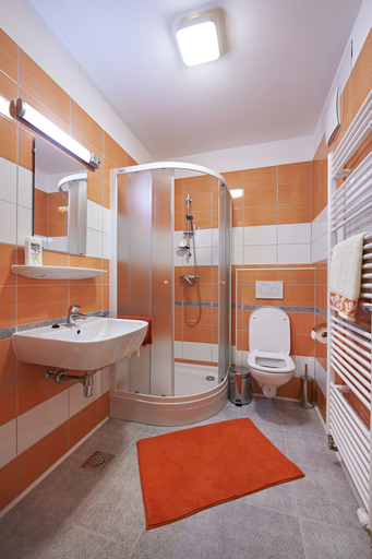 Bathroom 3, Apartments Tourist Farm Gradišnik, Prevalje