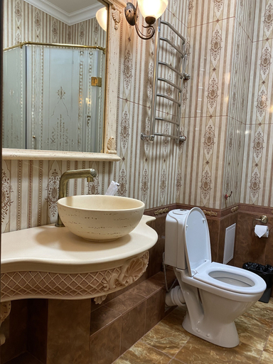 Bathroom 3, Hotel Lion, Astana City