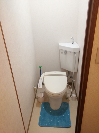 Bathroom 5, Corpo Fros, Hakodate