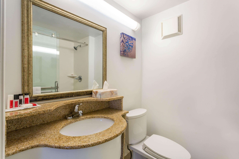 Bathroom 3, Ramada by Wyndham Virginia Beach, Virginia Beach
