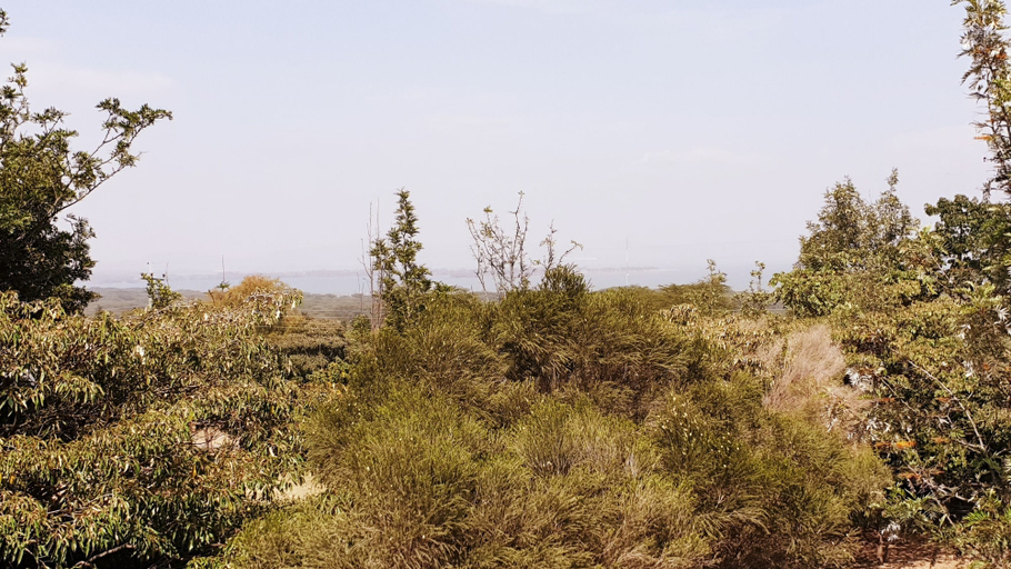 Others 5, Merinja Guest House, Naivasha