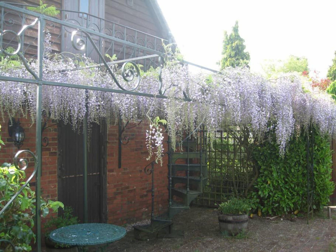 Exterior & Views, Oak Cottage, Kent