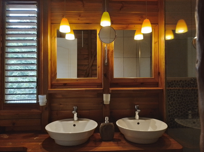 Bathroom 4, Gite Bois-Cannelle, Deshaies