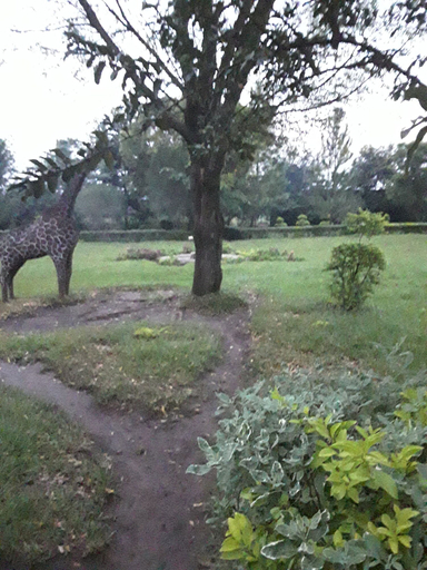 Others 5, Mbara Safari Lodge and Resort, Busongora