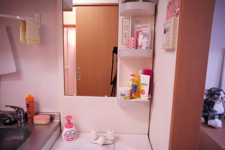 Bathroom 2, Hosei apartment 301, Kobe