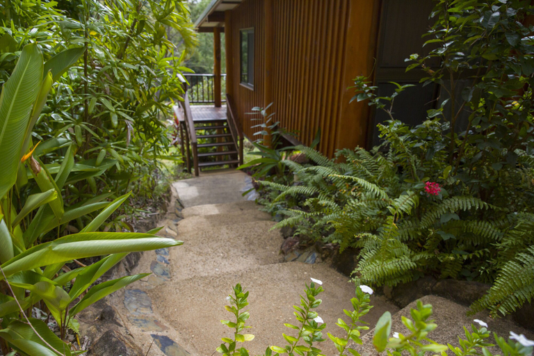 Others 5, Milkwood Lodge, Cook