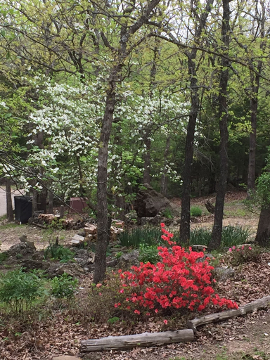 Others 4, Cherokee mountain log cabin resort, Carroll
