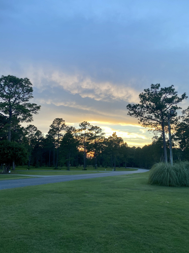 Others 4, Blueberry Plantation Golf Resort, Bacon