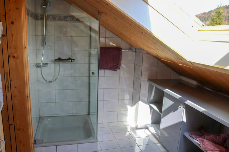 Bathroom 3, Appartment Moosbrugger, Bregenz