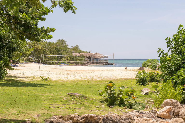 Others 5, Mango Beach Studio