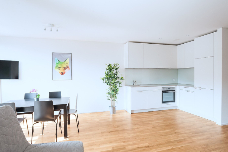 Hitrental Basel Apartments, Basel
