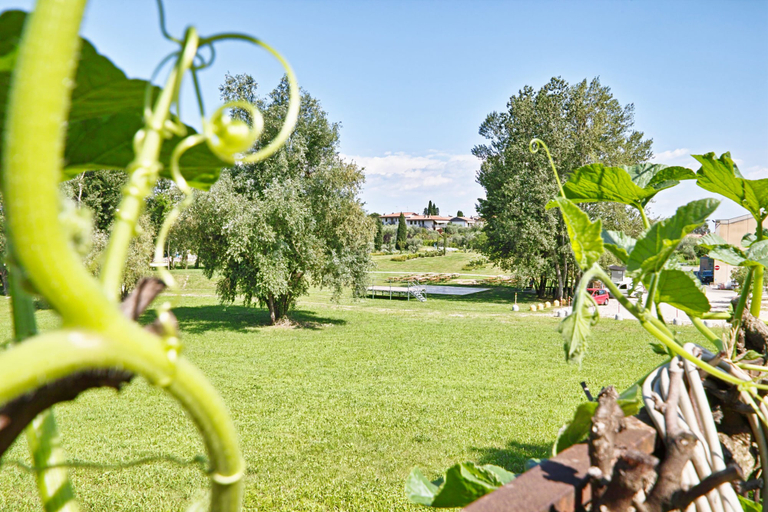 Garden 3, Appartamento le Campanelle, Brescia