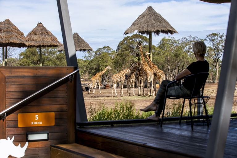 Others 4, Zoofari Lodge at Taronga Western Plains, Dubbo - Pt A