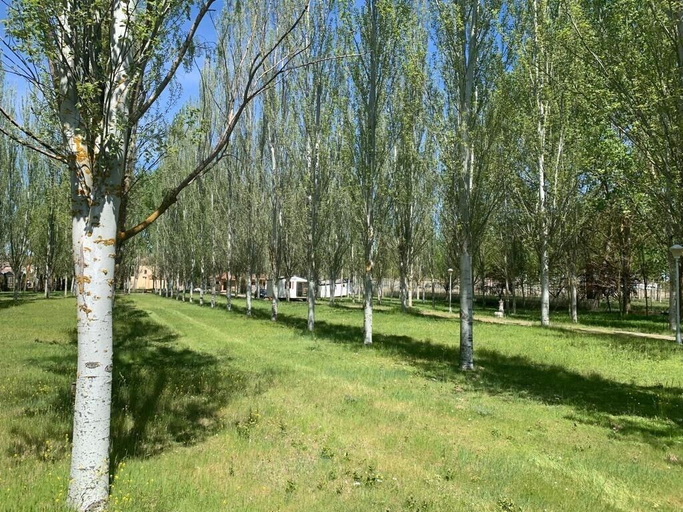 Others 5, Camping El Tormes, Salamanca