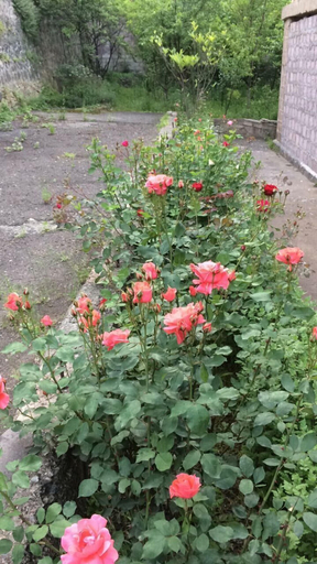 Others 4, Guest house in Alaverdi