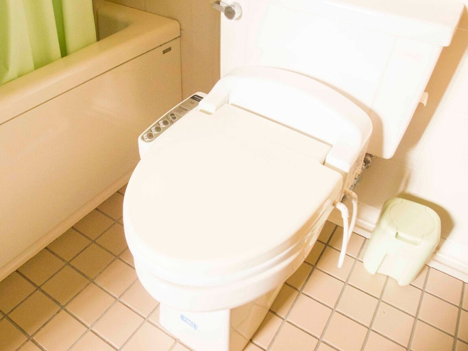 Bathroom 4, Irou, Tonoshō