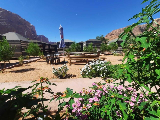 Bedouin village camp, Quaira