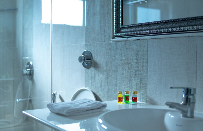Bathroom 3, Hotel Amar Kothi, Udaipur