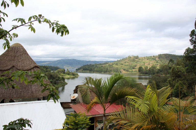 Others 5, Bunyonyi Gorilla View Lodge, Kabale