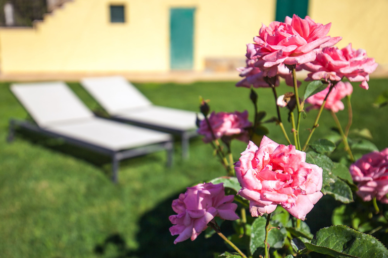 Exterior & Views 2, Poggiolivi Agriturismo Bio in Maremma, Grosseto