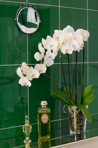 Bathroom 3, Villa Regina, Verbano-Cusio-Ossola