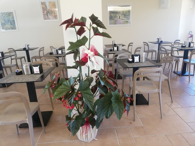Food & Drinks, Villa Nadar Hotel B&B, Lucca